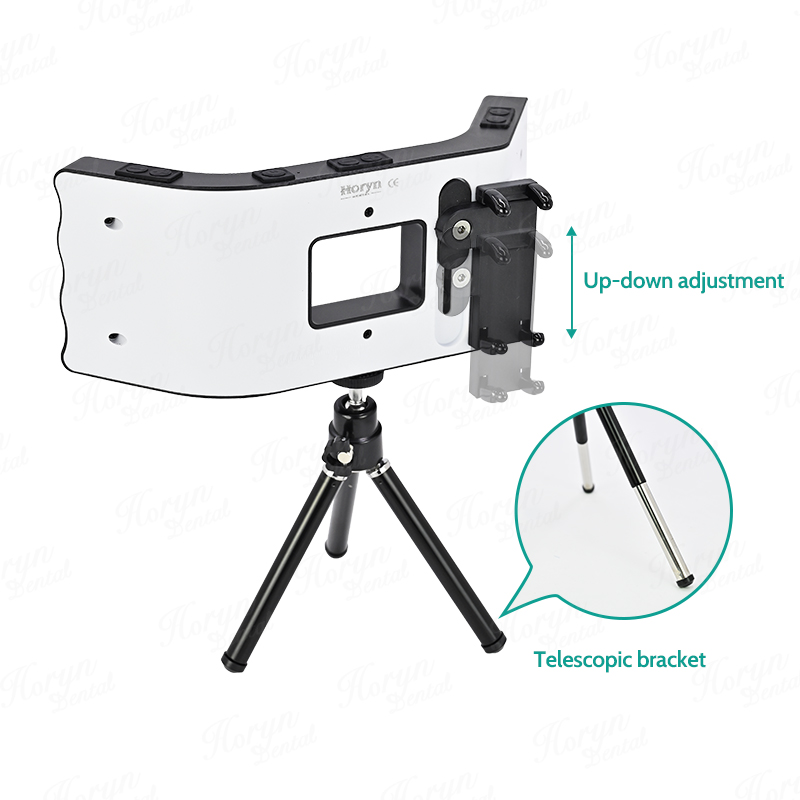 Kit fotografi gigi senter pons - Photography Lighting Devices ulasan dan harga