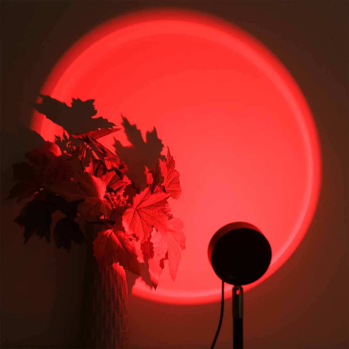 Lampu Proyeksi Matahari Terben - Photography Lighting Wall ulasan dan harga
